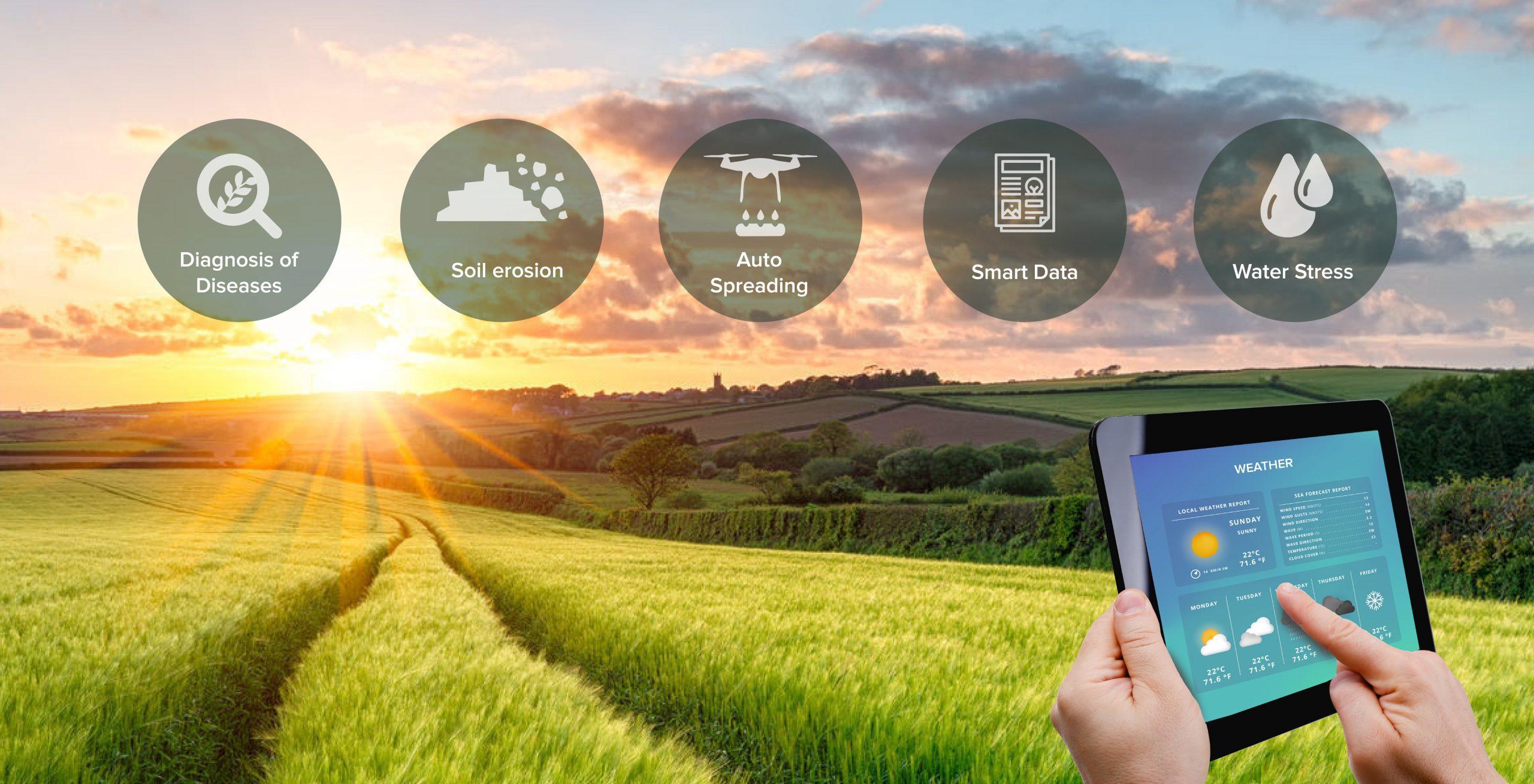 IoT-enabled-smart-agriculture