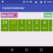 Custom Calendar Custom Calendar